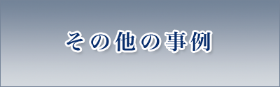 その他の事例