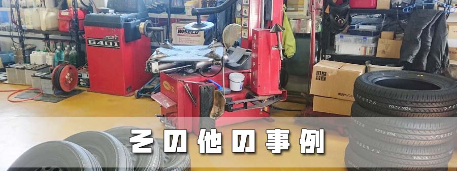 その他の事例